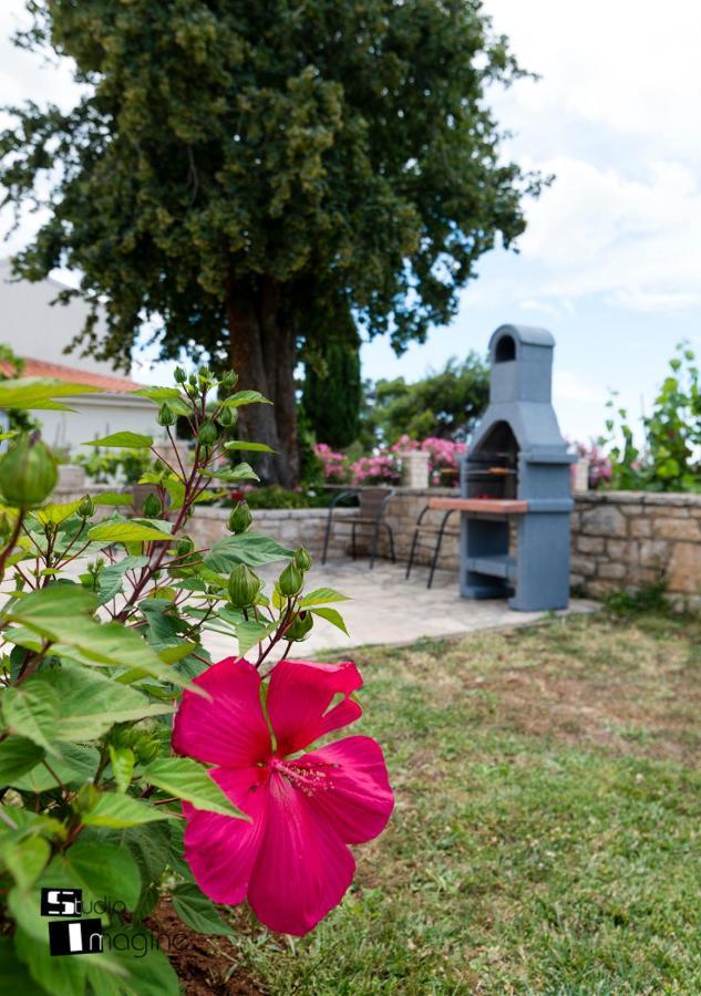 Charming Stone Cottage By The Sea Umag Exterior foto